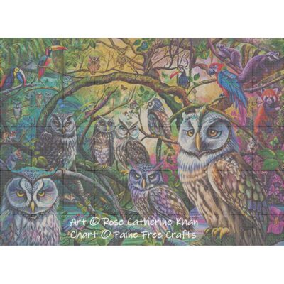 Tropical Owls - Image 2