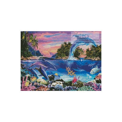 Dolphin Panorama