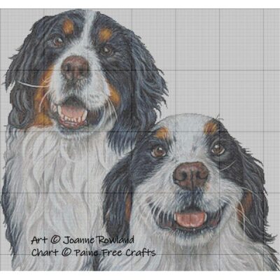 Brea and Hamish - Image 2