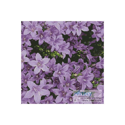 Campanula (LadyofOz)