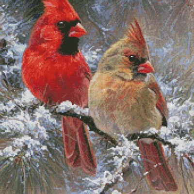 Cardinals in a Christmas Tree (Crop) (Abraham Hunter)