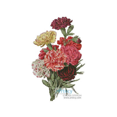 Carnations 2 (an antique print)
