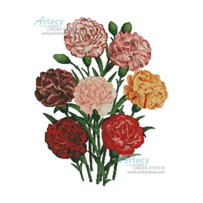 Carnations (an antique print)