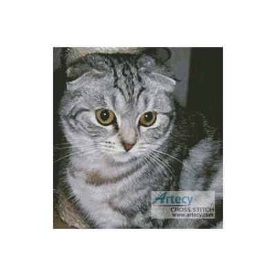 Cat 2 (Agnes)