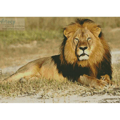 Cecil (Antique print)
