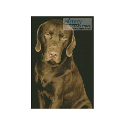 Chocolate Lab (www.imagevortex.com)