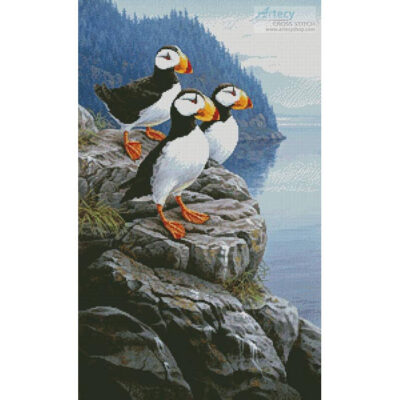 Cliff Dwellers (Darrell Bush)