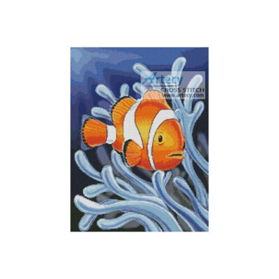 Clownfish 2 (www.liquidlibrary.com)