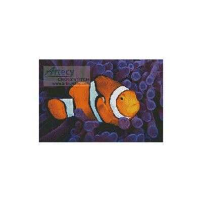 Clownfish in Anemone (Terry Moore/ Stocktrek Images - Corbis)
