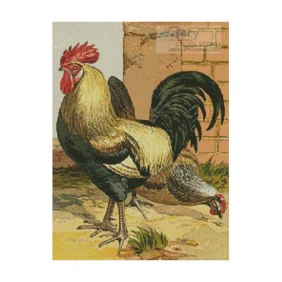 Coloured Dorking Chickens (Fine Rare Prints)