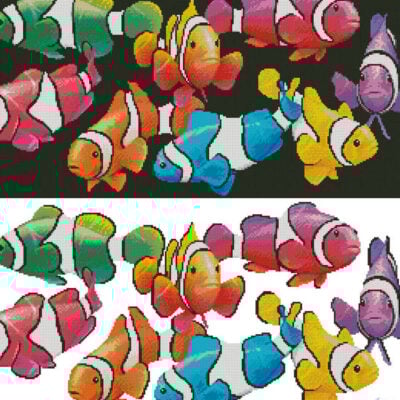 Colourful Clownfish (Royce McClure)