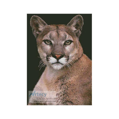 Cougar (DLILLC - Corbis)