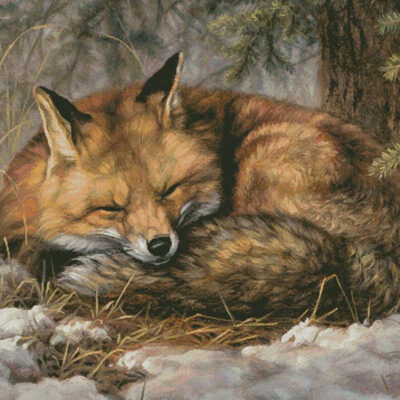 Dreaming of Spring (Large) (Abraham Hunter)