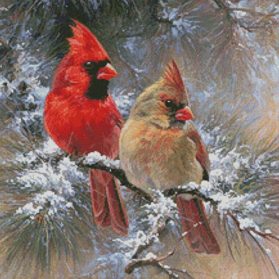 Cardinals in a Christmas Tree (Abraham Hunter)
