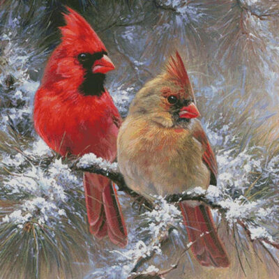 Cardinals in a Christmas Tree (Large) (Abraham Hunter)