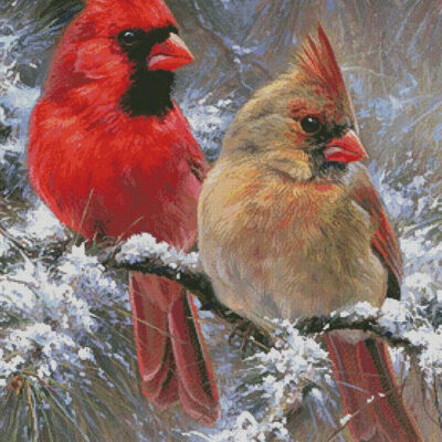 Cardinals in a Christmas Tree (Large Crop) (Abraham Hunter)
