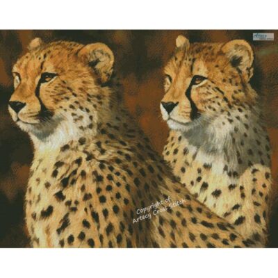 Cheetah Brothers (David Stribbling)
