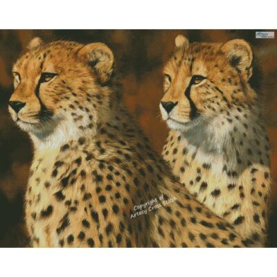 Cheetah Brothers (Large) (David Stribbling)