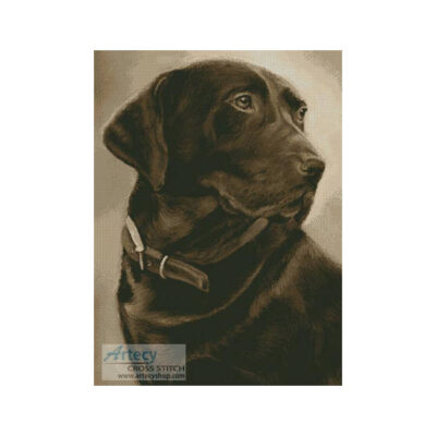 Chocolate Labrador (Helen Chugg)