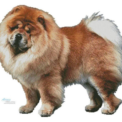 Chow Chow (No Background) (Csanad Kiss - Alamy)