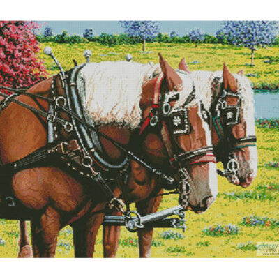 Clydesdales in the Meadow (Mike Bennett)