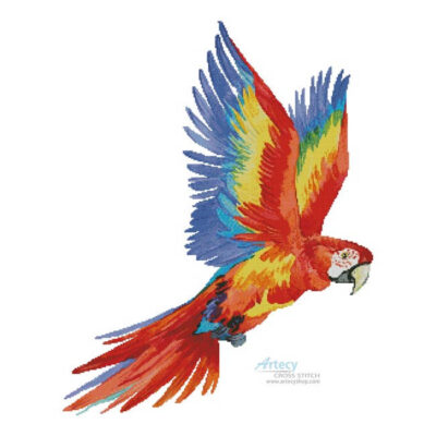 Colourful Macaw (Lena Faenkova)