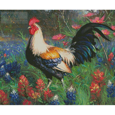 Colourful Rooster 2 (Mark Keathley)