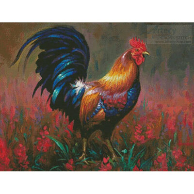 Colourful Rooster (Mark Keathley)