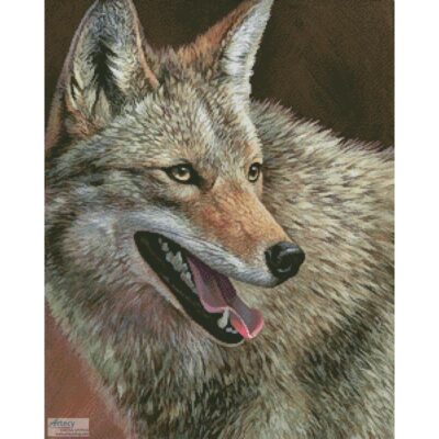 Coyote Profile (Joni Johnson Godsy and Cypress Fine Art Licensing)