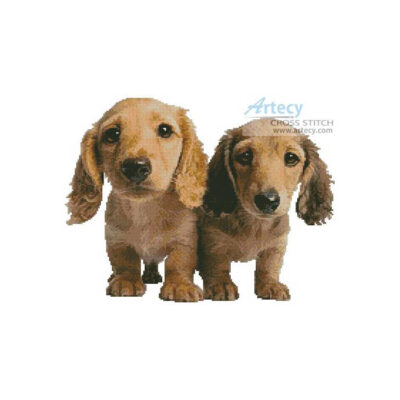Dachshund Puppies (Wojtek Kalinowski - Corbis)