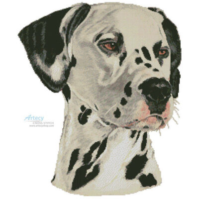 Dalmatian Painting (Helen Chugg)