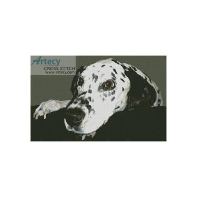 Dalmatian (Urszula Satora)