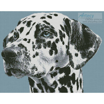 Dalmatian Portrait (Anja Osenberg - Pixabay)