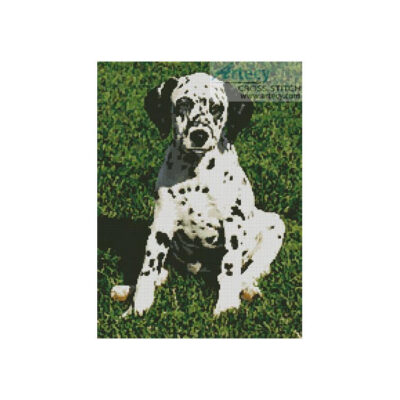 Dalmatian Puppy (Urszula Satora)