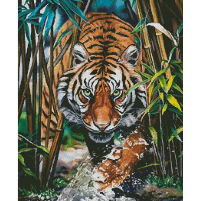 Dangerous Tiger (Image World)