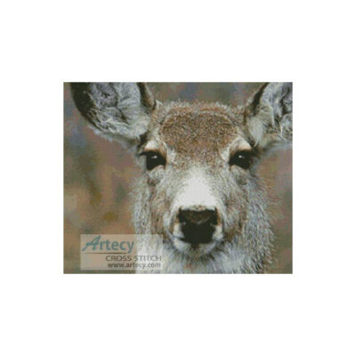 Deer Face (Tim Urbaniak)