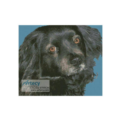 Dog 4