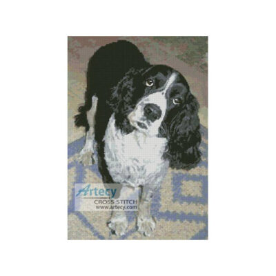 Dog 5