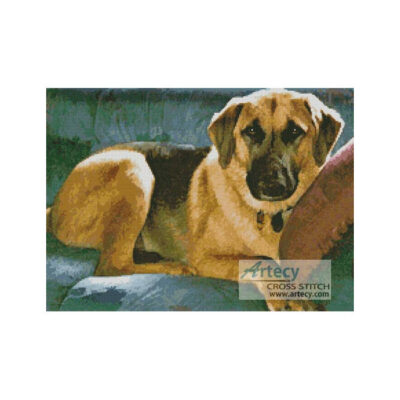Dog 6