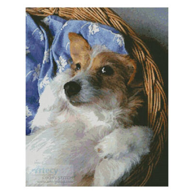 Dog in Basket (T Vanderstelt)
