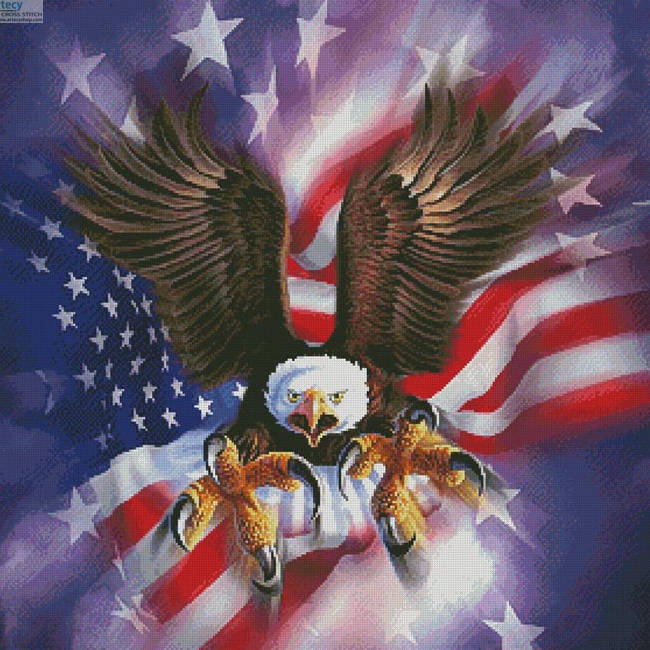 Eagle Burst (Jerry Lofaro)