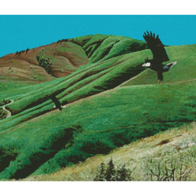 Eagles at Little Mountain (Mike Bennett)