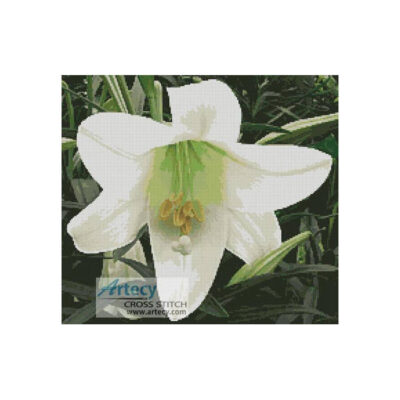 Easter Lily (LadyofOz)