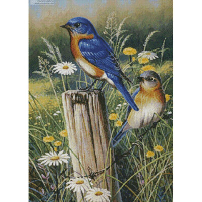 Eastern Beauties (Cynthie Fisher)