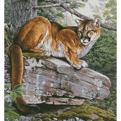 Eastern Cougar (Al Agnew)
