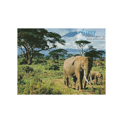 Elephants