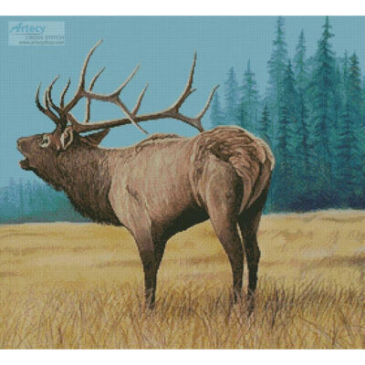 Elk Bugler 1 (Mike Bennett)