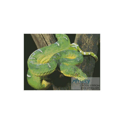 Emerald Tree Boa (www.photostogo.com)
