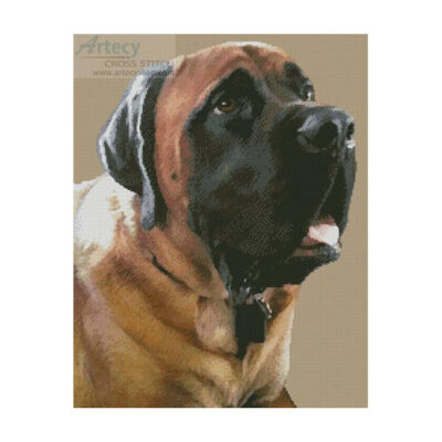 English Mastiff (Grant Meyer)