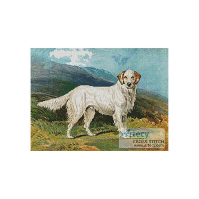 English Setter (Fine Rare Prints)